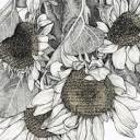 annacampbellart.com icon
