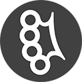 bdldy.ru icon