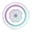biddytarot.com icon