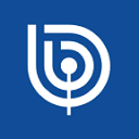 biobiochile.cl icon