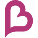 birp.com.br icon