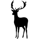 boconnoc.com icon