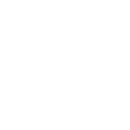 brennachristinephotography.com icon