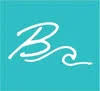 brittneycarboneart.com icon