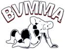 bvmma.com icon
