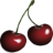 chclc.org icon