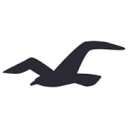 community.hollisterco.com icon