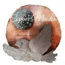 coppermaiden.com icon