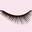 danlashcompany.com icon