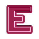 e.vnexpress.net icon