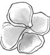 ericamoorepottery.com icon