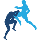 fighttime.ru icon