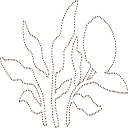 healingwithshaina.com icon