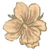 jennaillustrated.com icon
