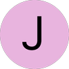 joselinartist.com icon