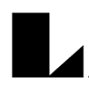 ladygunn.com icon