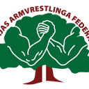 latarm.lv icon