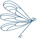 liberdadedeser.com.br icon
