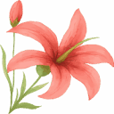 lilyedenspawellness.com icon