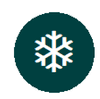 lizholden.com icon
