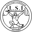 lsi.is icon