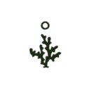 lunawedel.com icon