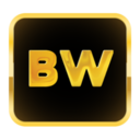 m.behindwoods.com icon