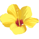 mauinews.com icon