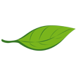 natural.pl icon