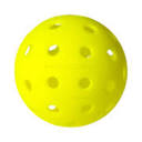 pickleballnuts.com icon
