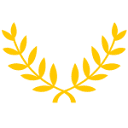 professionalgirona.com icon