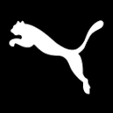 puma-catchup.com icon