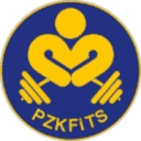 pzkfits.pl icon