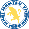 rarinantestorino.com icon
