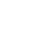 sarahfechter.com icon