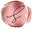 sashaxhome.com icon