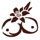 shopkarolg.com icon