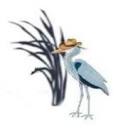 southfloridacountrymusic.com icon