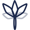 stacyberlin.com icon