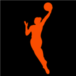 stats.wnba.com icon