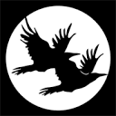 theblackravens.com icon