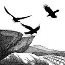 theravenrocks.com icon