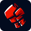 top-fight.cz icon