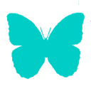 transformationsbymaria.com icon