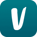 vinted.com icon