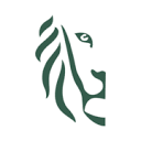 vlaamseregulatormedia.be icon