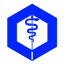 vpl.sk icon