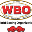 wboboxing.com icon
