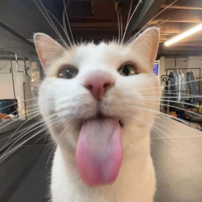 Profile photo